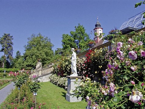 Bodensee-Radweg mit Charme