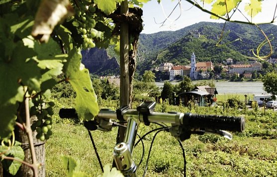 Donau-Radweg Bummlertour