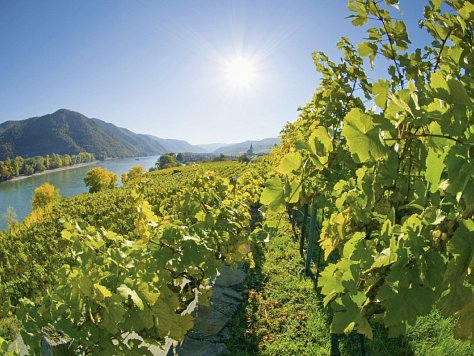 LandGenuss Radtour Donau