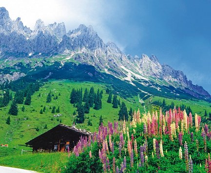 Alpe-Adria-Radweg