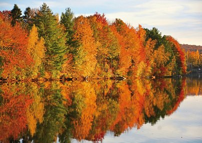 Farbenpracht des Indian Summer (ab/bis Boston) Boston