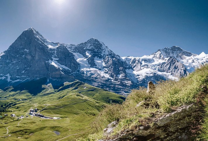 Die idyllische Bergwelt der Jungfrauregion