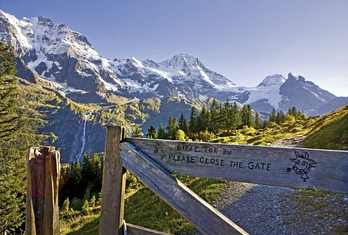 Die idyllische Bergwelt der Jungfrauregion