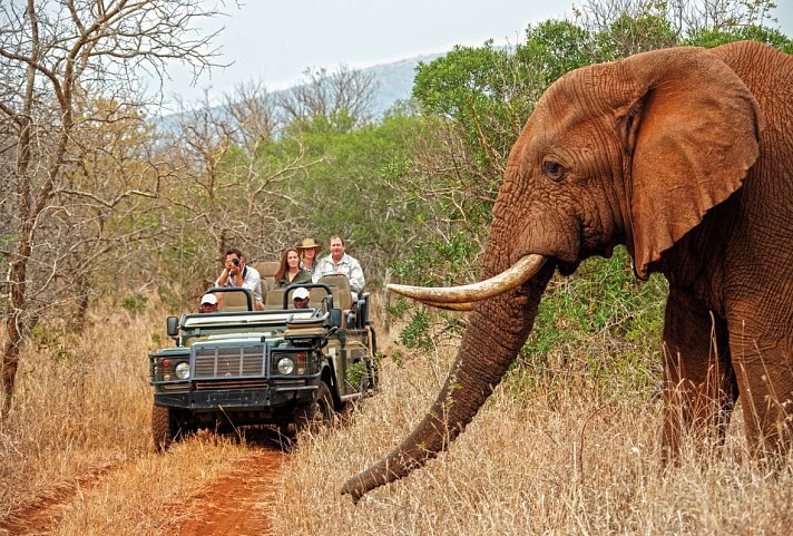 Thanda Safari & White Pearl Resort