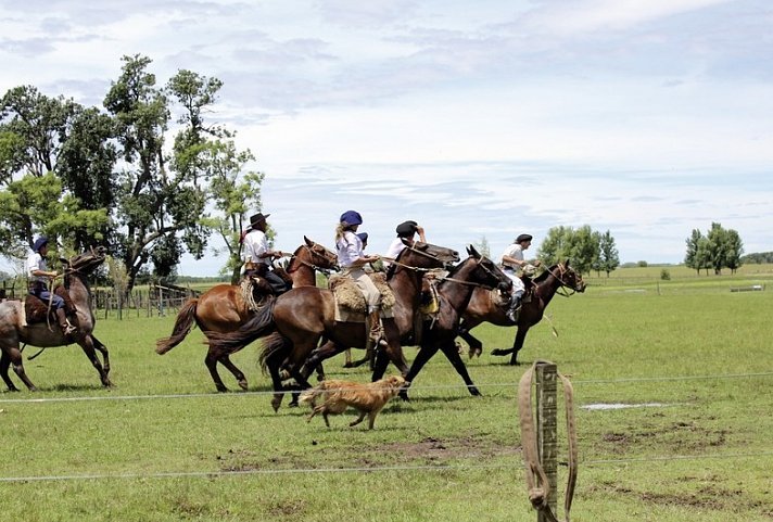 Unterwegs im Land der Gauchos