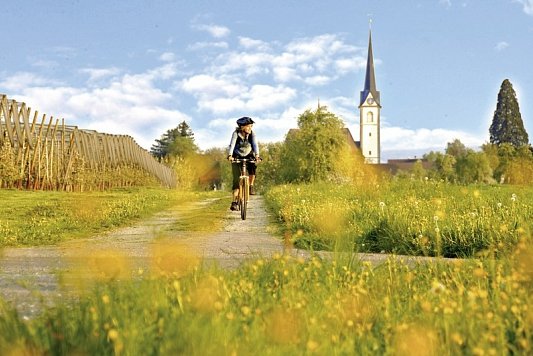 Bodensee-Radweg Bummlertour