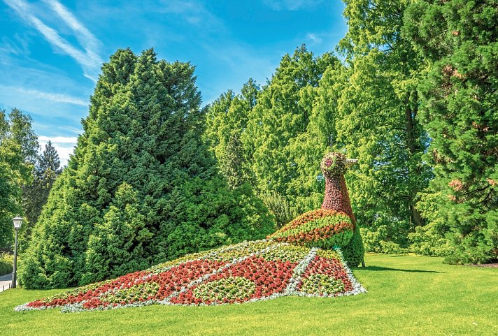 Das Schönste vom Bodensee - Jahrestour 2025