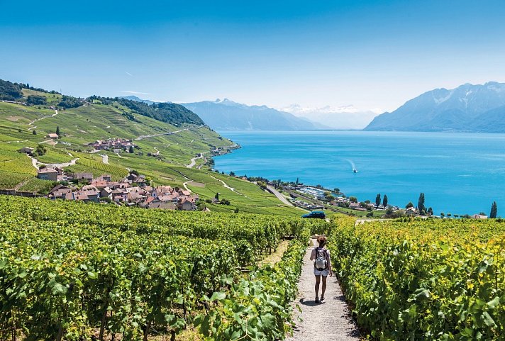 GoldenPass Express von Montreux nach Luzern