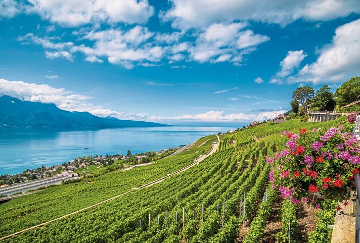 GoldenPass Express von Montreux nach Luzern