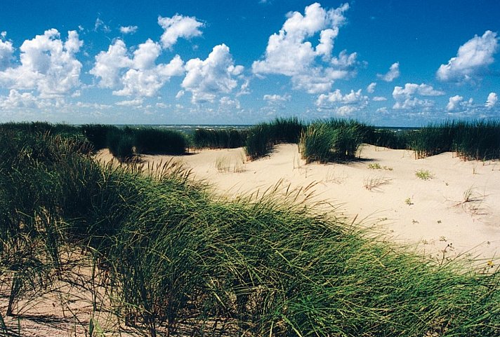 Romantisch Radeln Nordfriesische Inseln