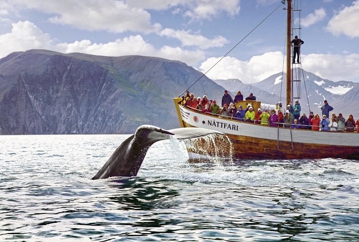 Die große Islandrundreise