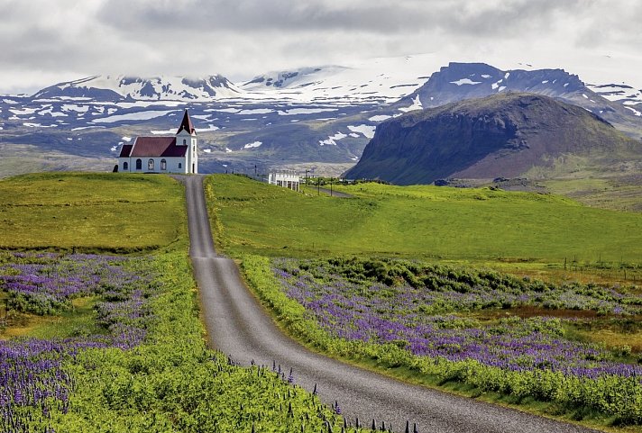 Island - ein Land zum Träumen