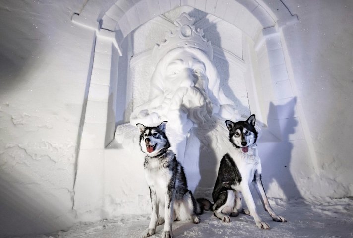 Kirkenes eiskalt erleben