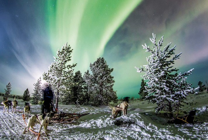 Kirkenes eiskalt erleben