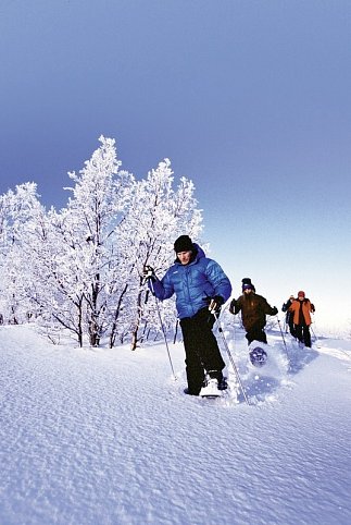 Winterlich aktiv in Schwedisch Lappland