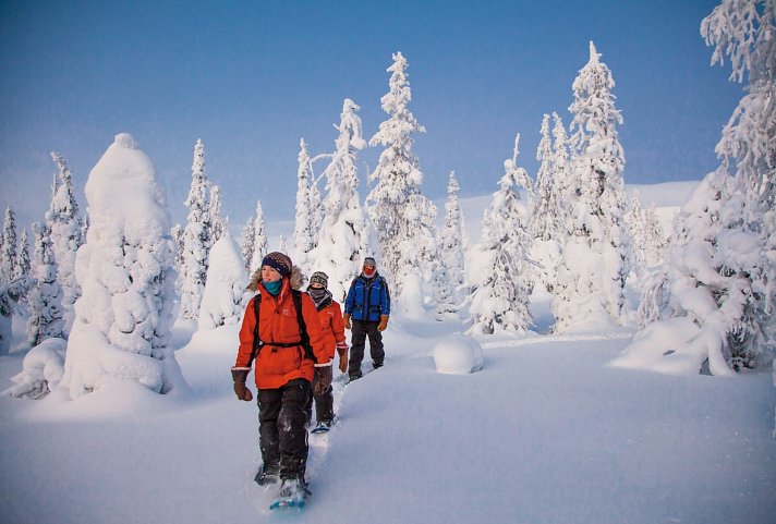 Lappland kompakt