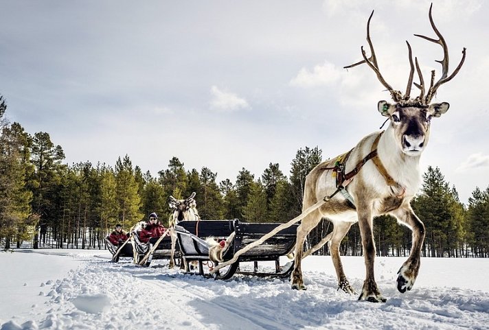 Lappland kompakt