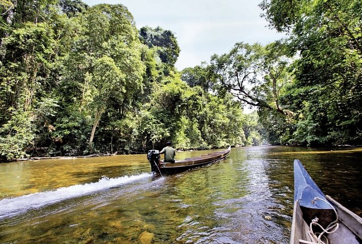 Taman Negara (3 Nächte)