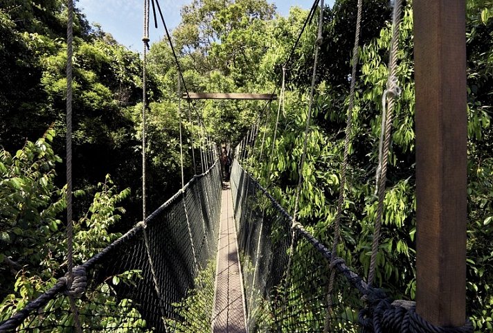 Taman Negara (3 Nächte)