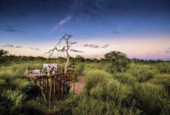 Natur, Busch und Strand Deluxe