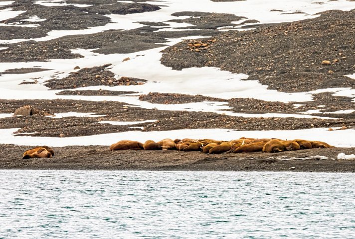 Abenteuer Spitzbergen