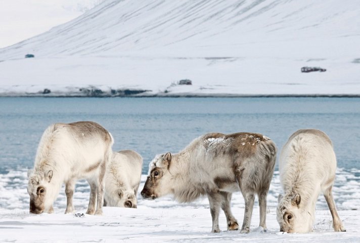 Abenteuer Spitzbergen