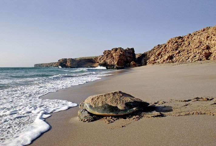 Oman erfahren - Mit dem Allrad durch grandiose Landschaften