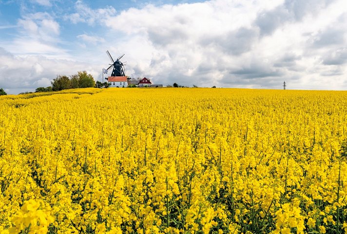 Große Südschweden Rundreise (ab/bis Malmö)