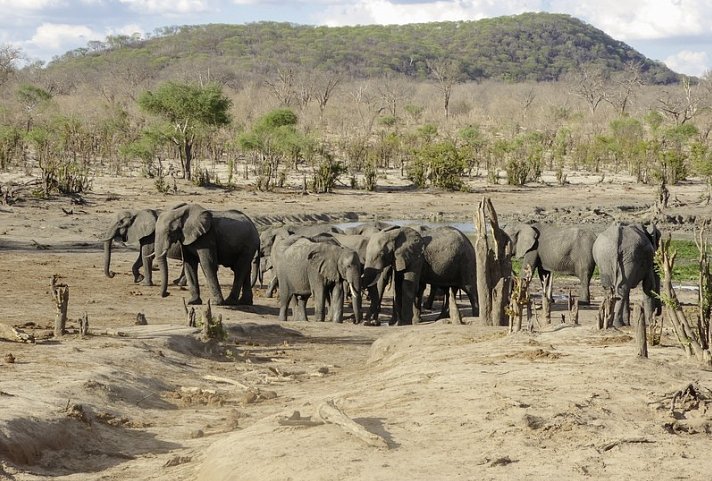 Drifters - Botswana Explorer Maun-Victoria Falls