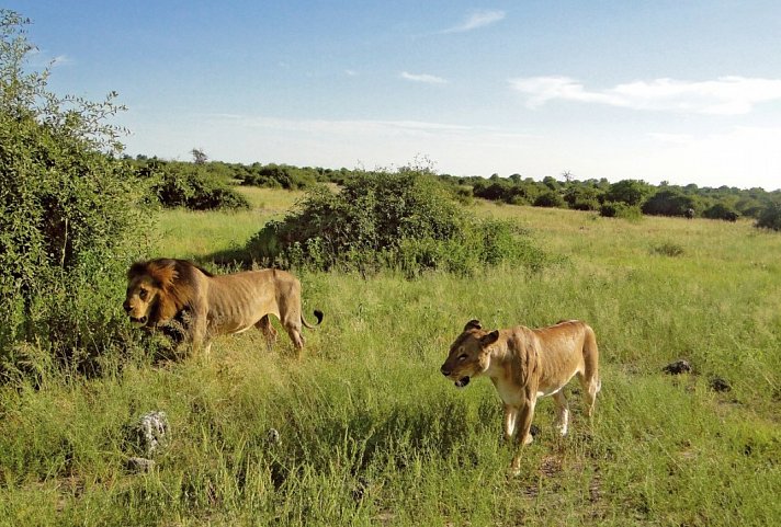 Drifters - Botswana Explorer Maun-Victoria Falls