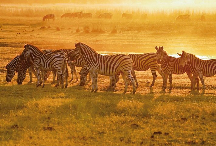 Drifters - Botswana Explorer Maun-Victoria Falls