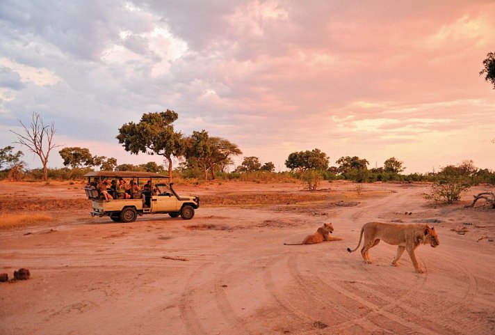 Familien Safari mit African Bush Camps