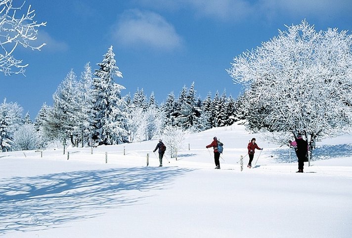 Chiemsee - Winterwandern am Bayerischen Meer