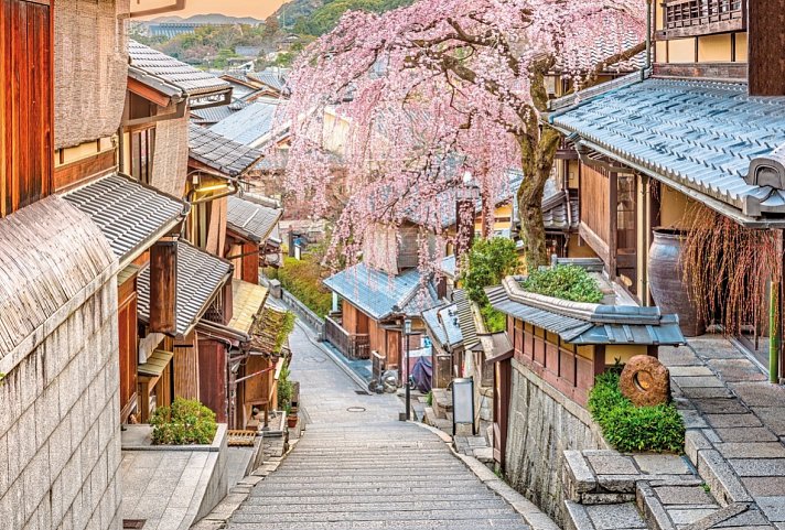 Höhepunkte Japans (inkl. Flug)