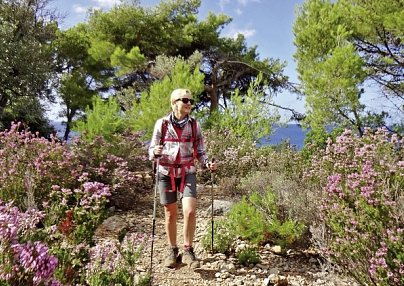 Fincawandern Mallorca Pollença