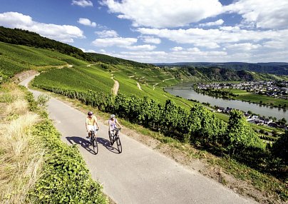 Mosel-Radweg mit Charme Trier