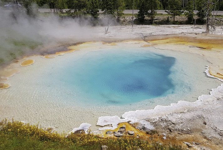 Canada to Yellowstone