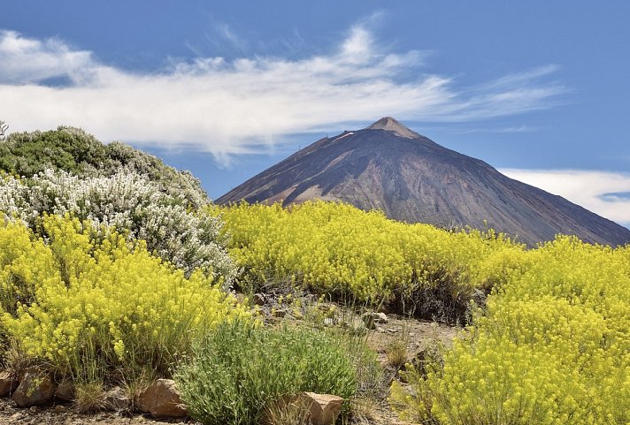 Teneriffa - Natur und Kulinarik rund um den Teide