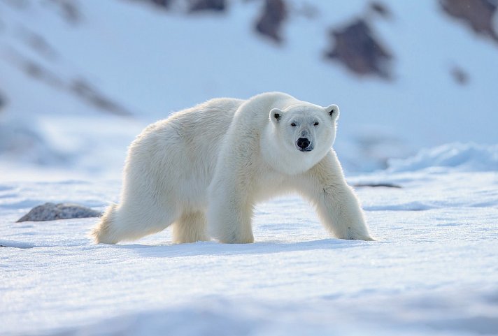 Naturwunder Spitzbergen