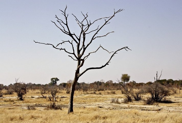 Viktoria Fälle & Safari Abenteuer ab/bis Victoria Falls