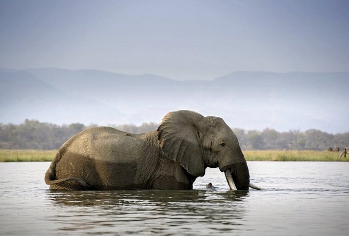 Wasser, Wüste, wilde Tiere - unterwegs von Victoria Falls nach Windhoek