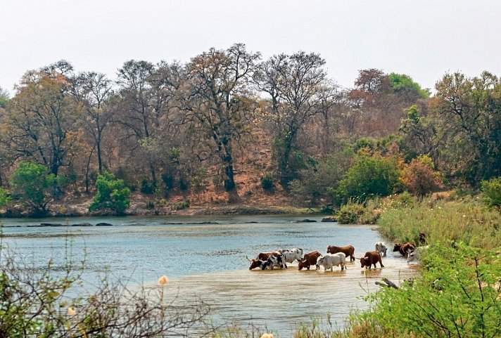 Wasser, Wüste, wilde Tiere - unterwegs von Victoria Falls nach Windhoek