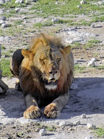 Namibia & Botswana auf eigene Faust