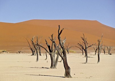 Dünenzauber Sossusvlei Windhoek