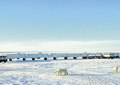 Erlebnis Eisbären mit Tundra Buggy Lodge (5 Nächte) Winnipeg
