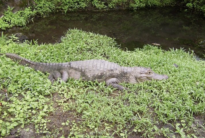 Nationalpark Arenal