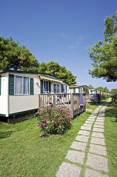 Camping Arena Stupice