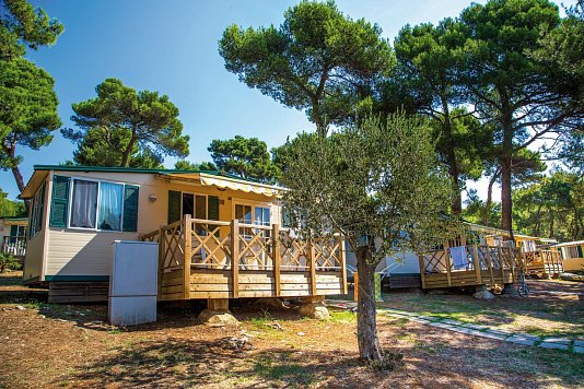 Camping Arena Indije