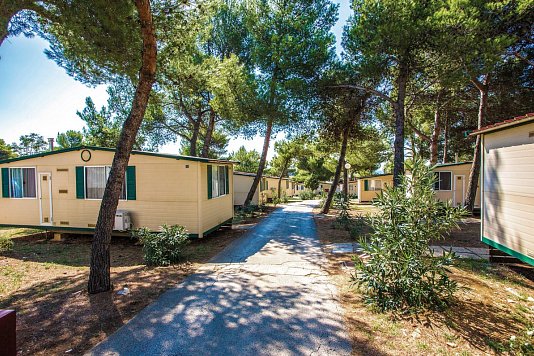 Camping Arena Indije