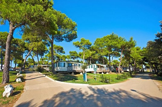 Camping Arena Indije
